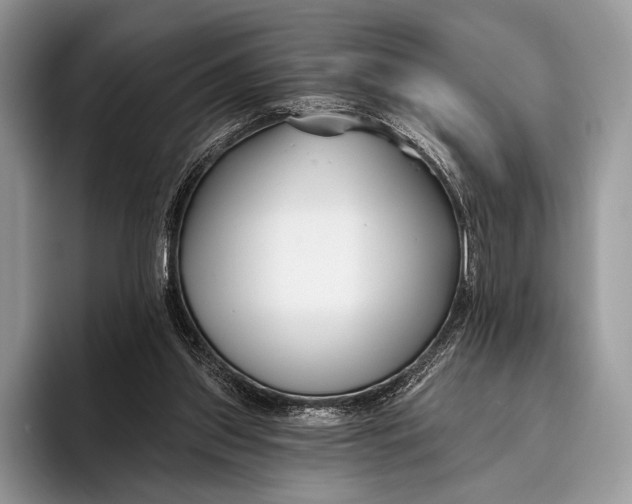 X0000095930157200802011028
