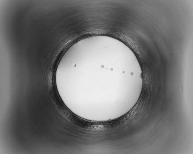 X0000095930159200802011028