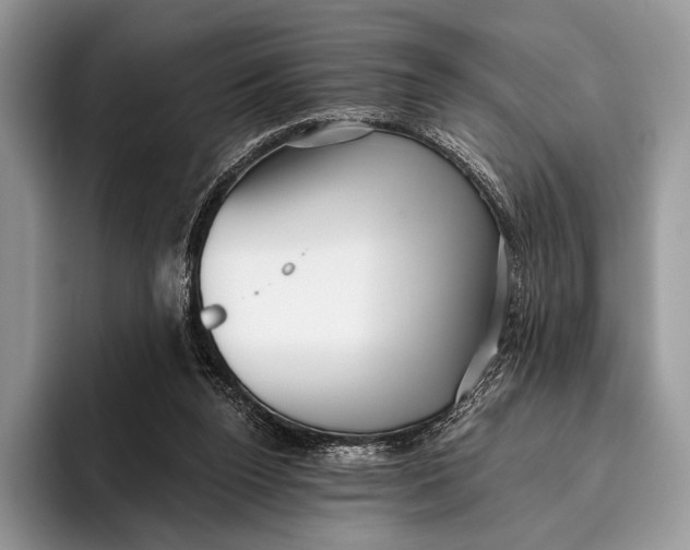 X0000095930160200802011028