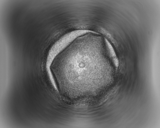 X0000095930161200802011028