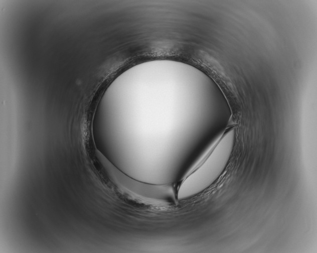 X0000095930164200802011028