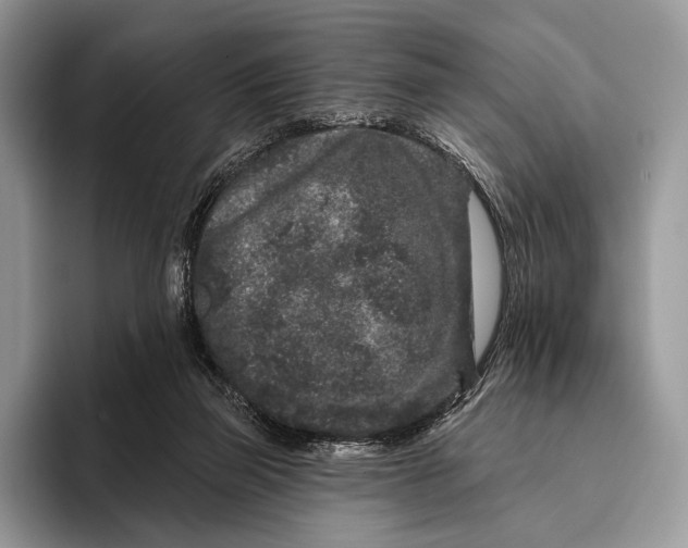 X0000095930165200802011028