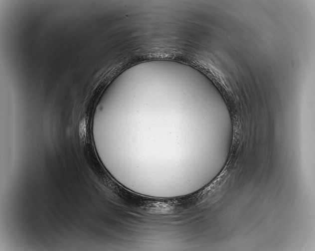 X0000095930166200802011028