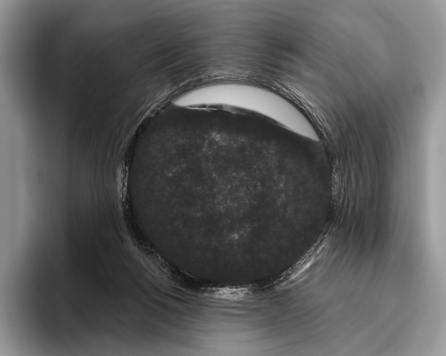X0000095930168200802011028