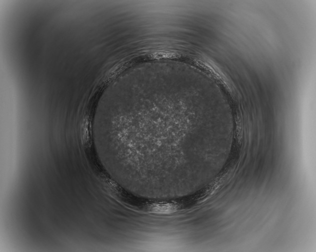 X0000095930169200802011028