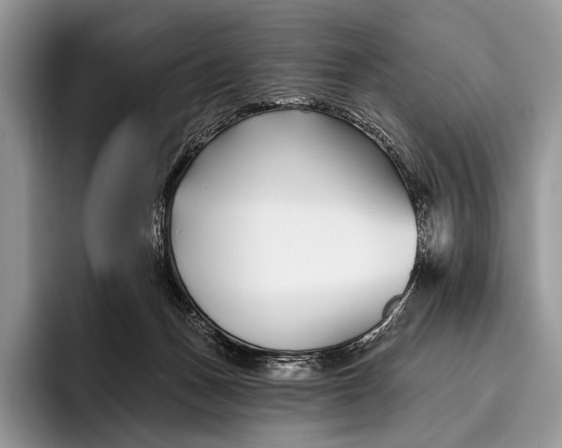 X0000095930175200802011028