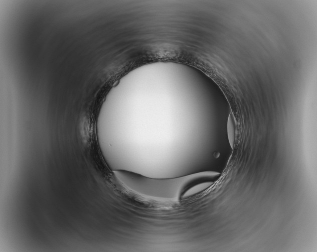 X0000095930176200802011028