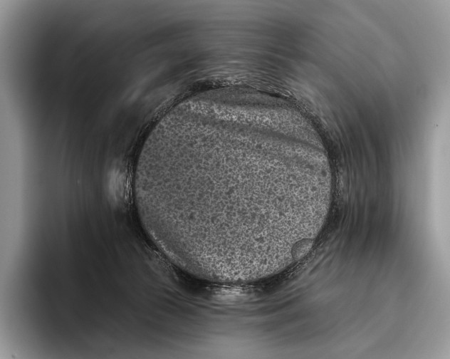 X0000095930177200802011028