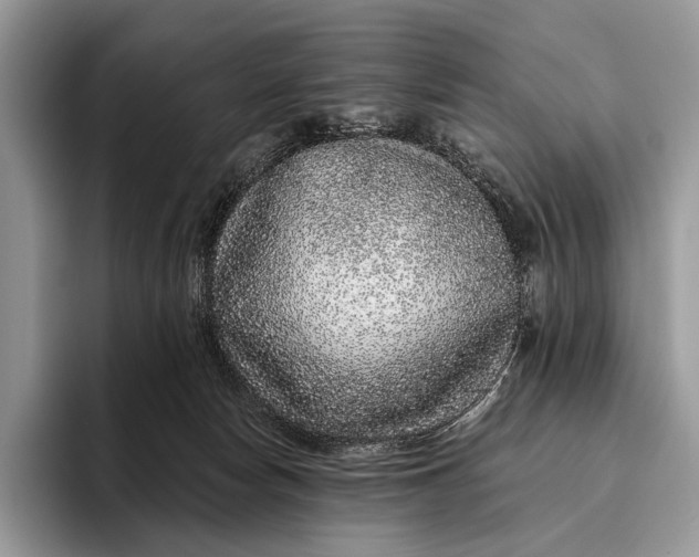 X0000095930178200802011028