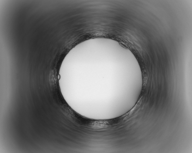 X0000095930179200802011028