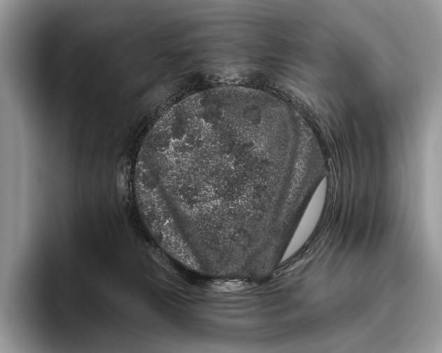 X0000095930181200802011028