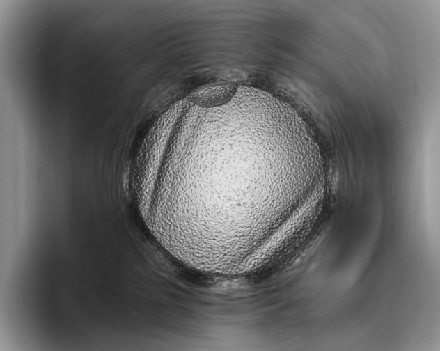 X0000095930185200802011028
