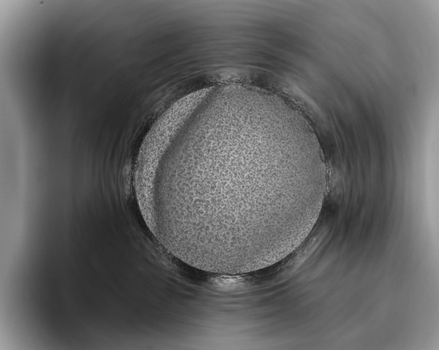 X0000095930189200802011028