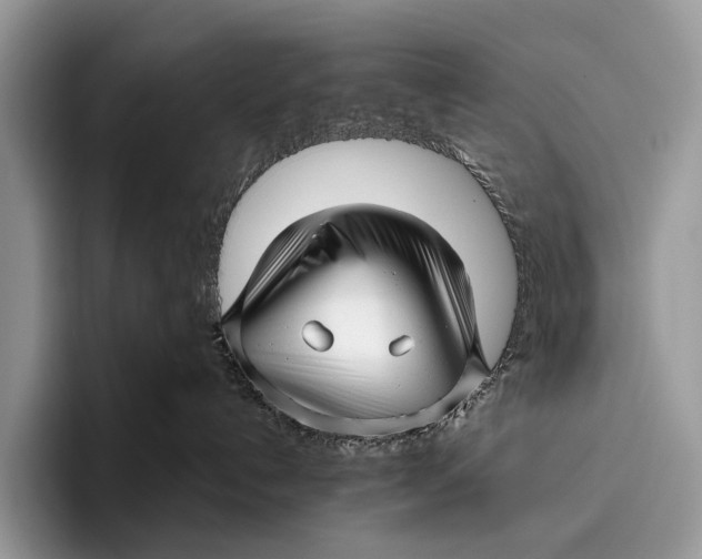 X0000095930192200802011028