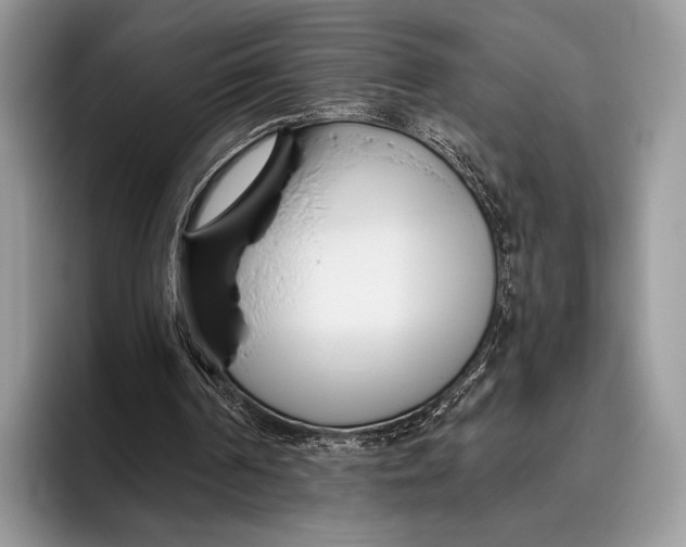 X0000095930194200802011028