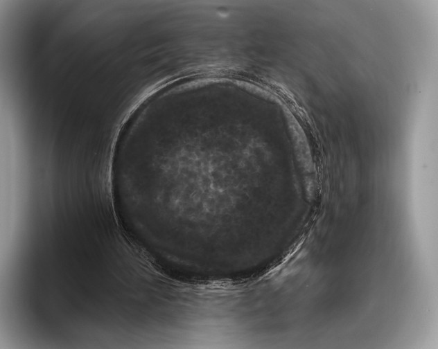 X0000095930196200802011028