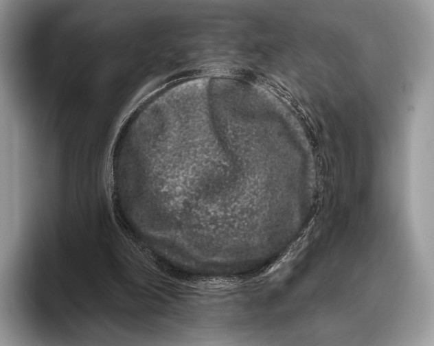 X0000095930198200802011028