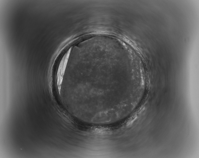 X0000095930199200802011028