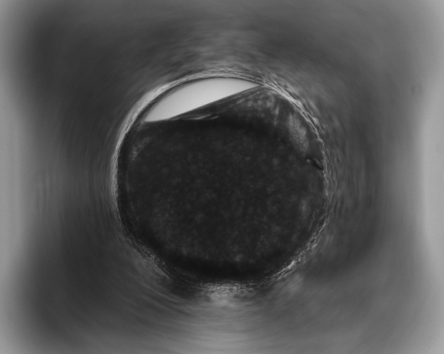 X0000095930200200802011028