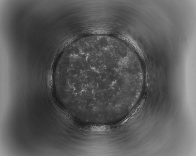 X0000095930202200802011028