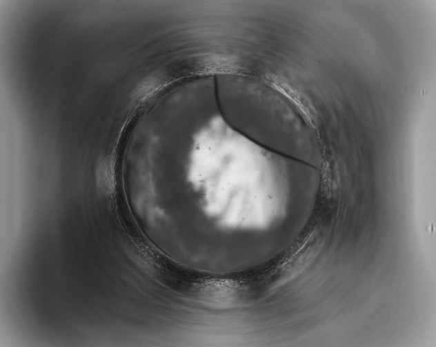X0000095930203200802011028