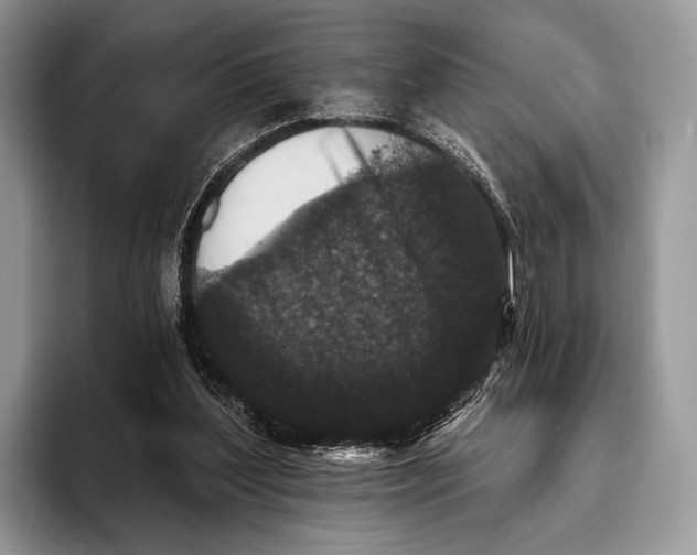 X0000095930204200802011028