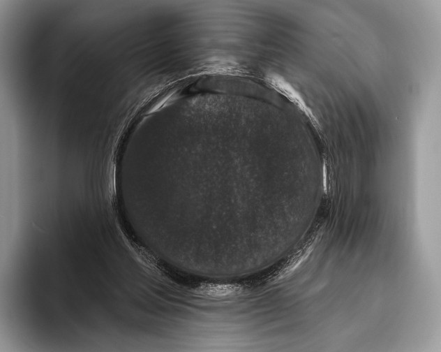X0000095930205200802011028