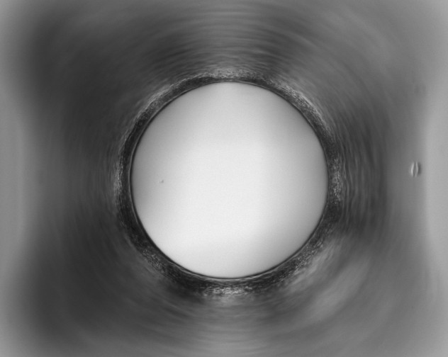 X0000095930208200802011028