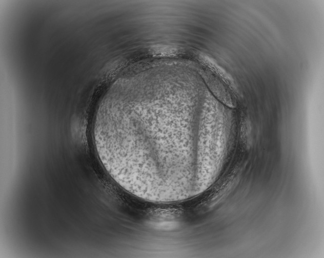 X0000095930209200802011028
