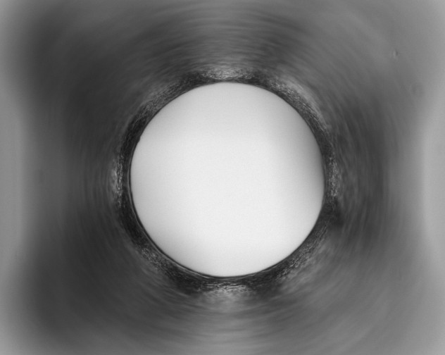 X0000095930210200802011028