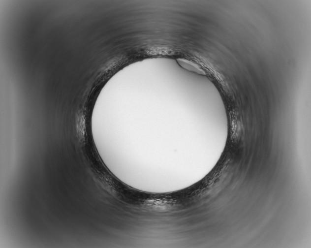 X0000095930211200802011028