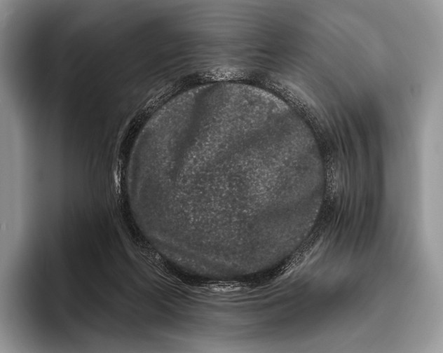 X0000095930214200802011027