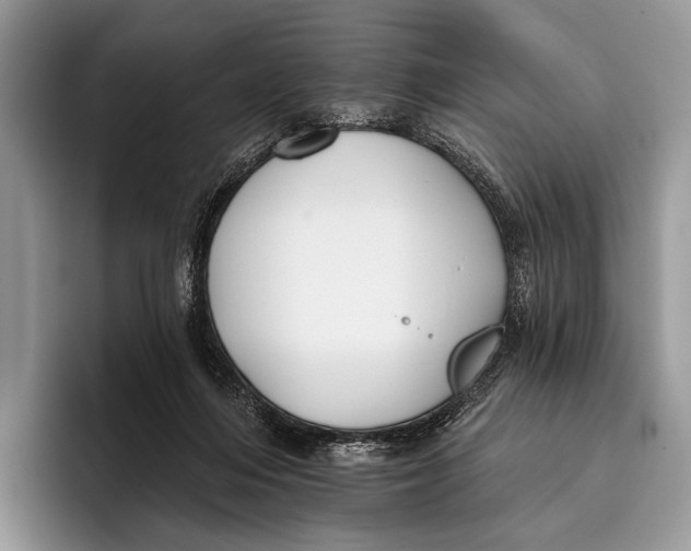 X0000095930216200802011027