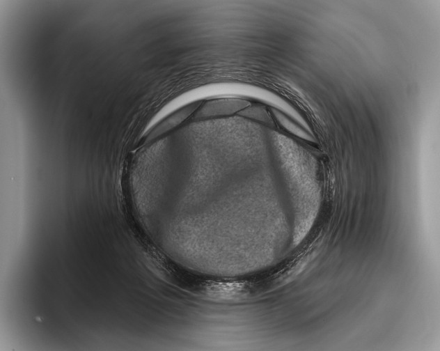 X0000095930217200802011027