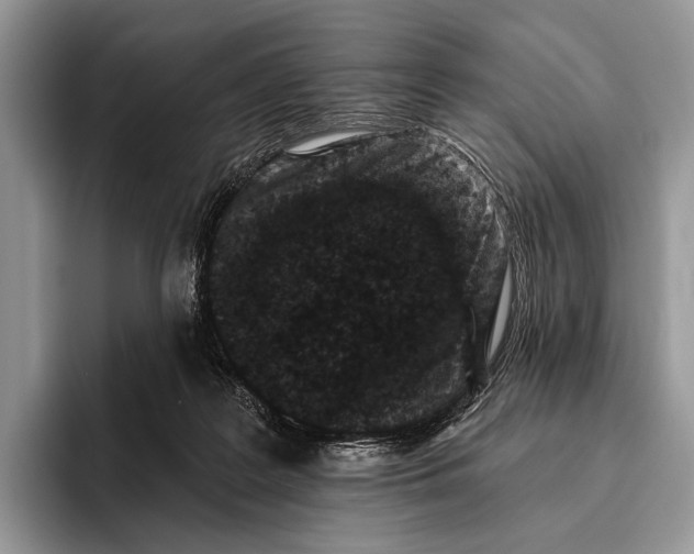 X0000095930219200802011027