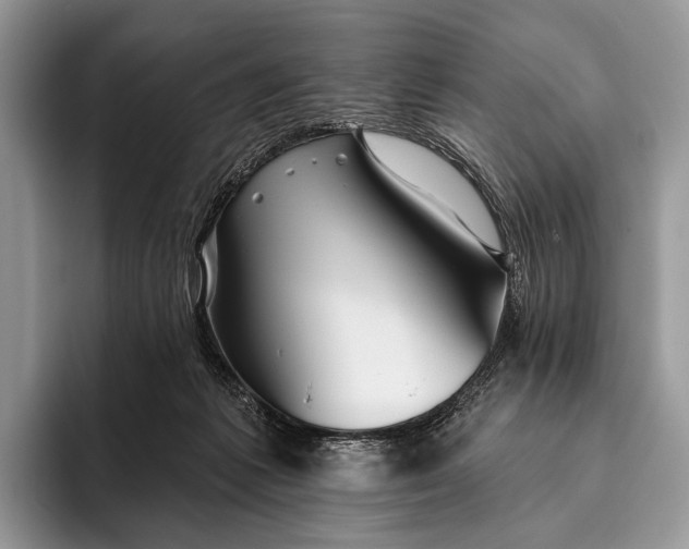 X0000095930221200802011027