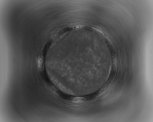 X0000095930222200802011027