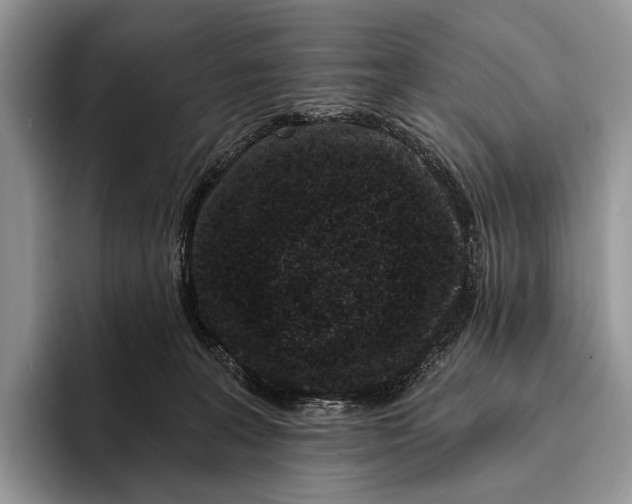 X0000095930227200802011027