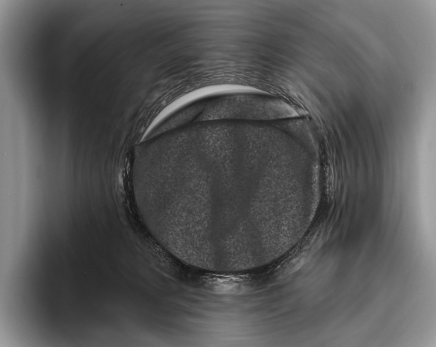 X0000095930229200802011027