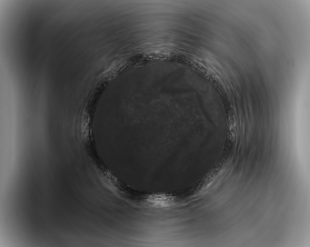 X0000095930231200802011027