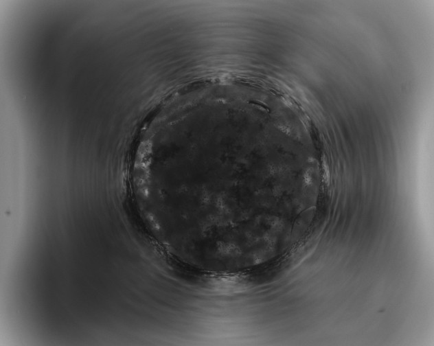 X0000095930235200802011027