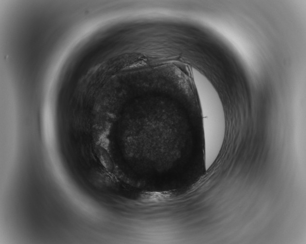 X0000095930239200802011027