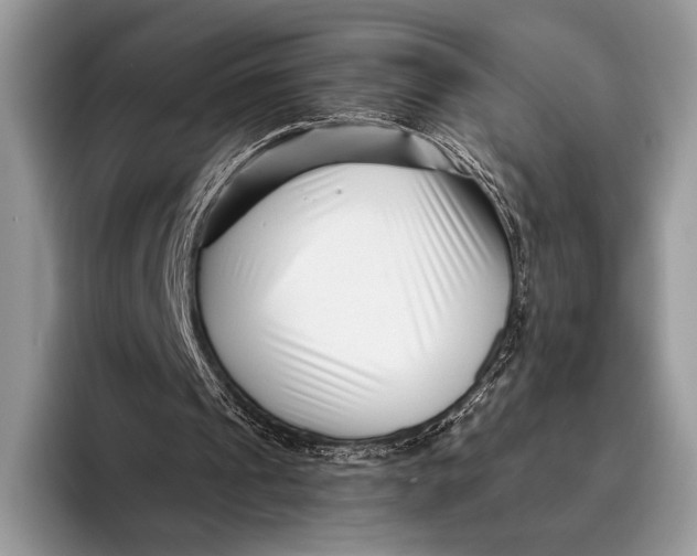 X0000095930241200802011027