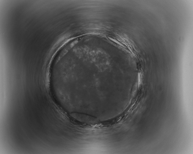 X0000095930243200802011027