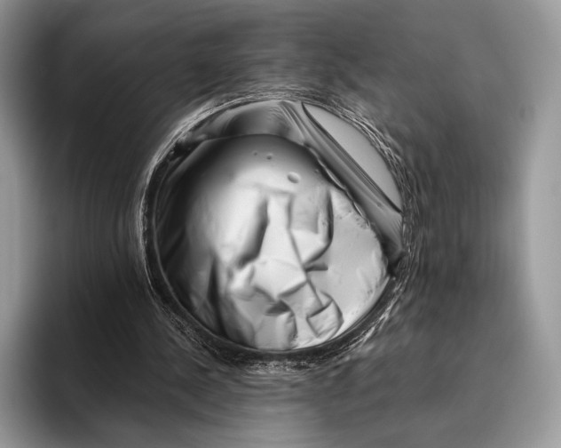 X0000095930244200802011027