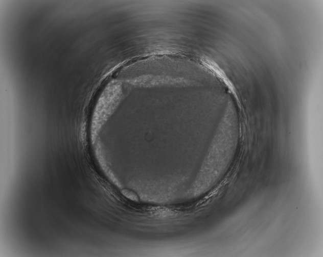 X0000095930249200802011027
