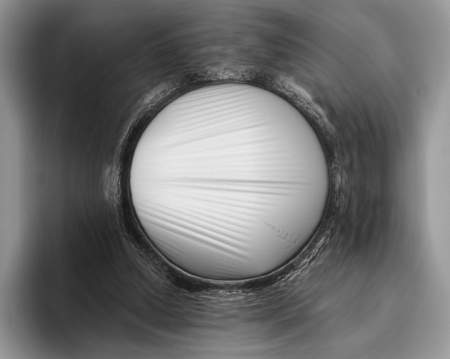 X0000095930250200802011027