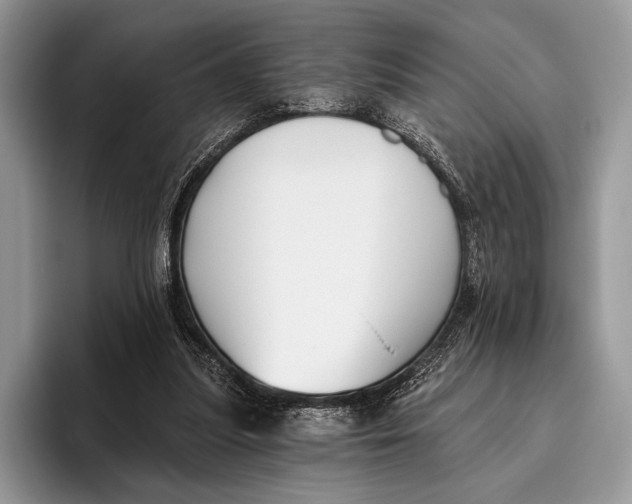 X0000095930251200802011027
