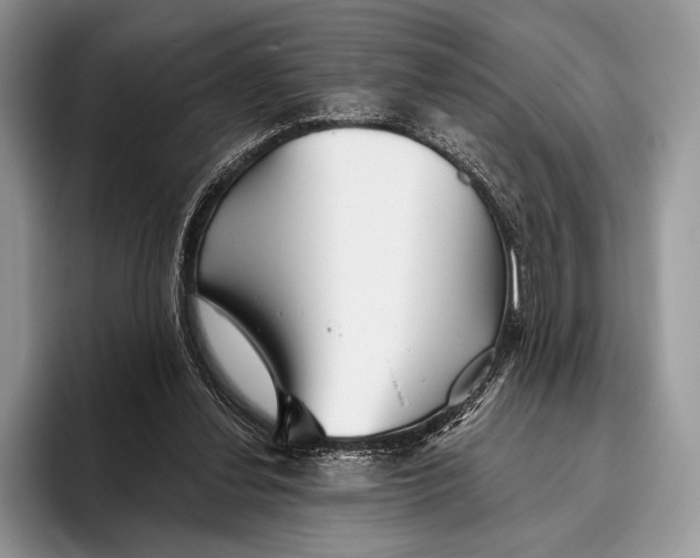 X0000095930252200802011027