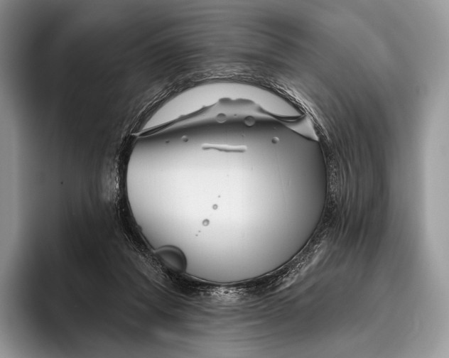 X0000095930261200802011027
